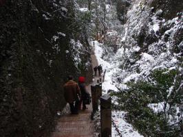 Mount Qingcheng